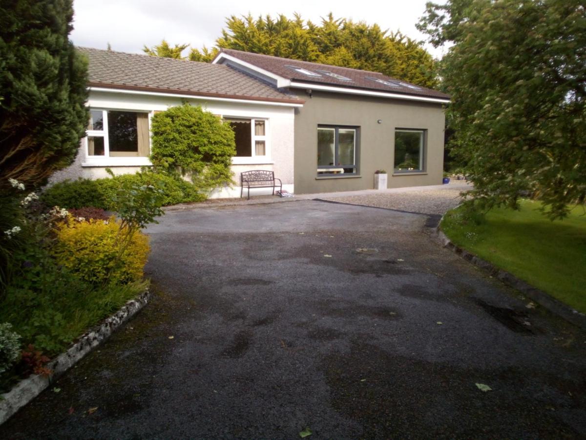 Spacious Contemporary Chalet Type Apartment. Galway Exterior foto